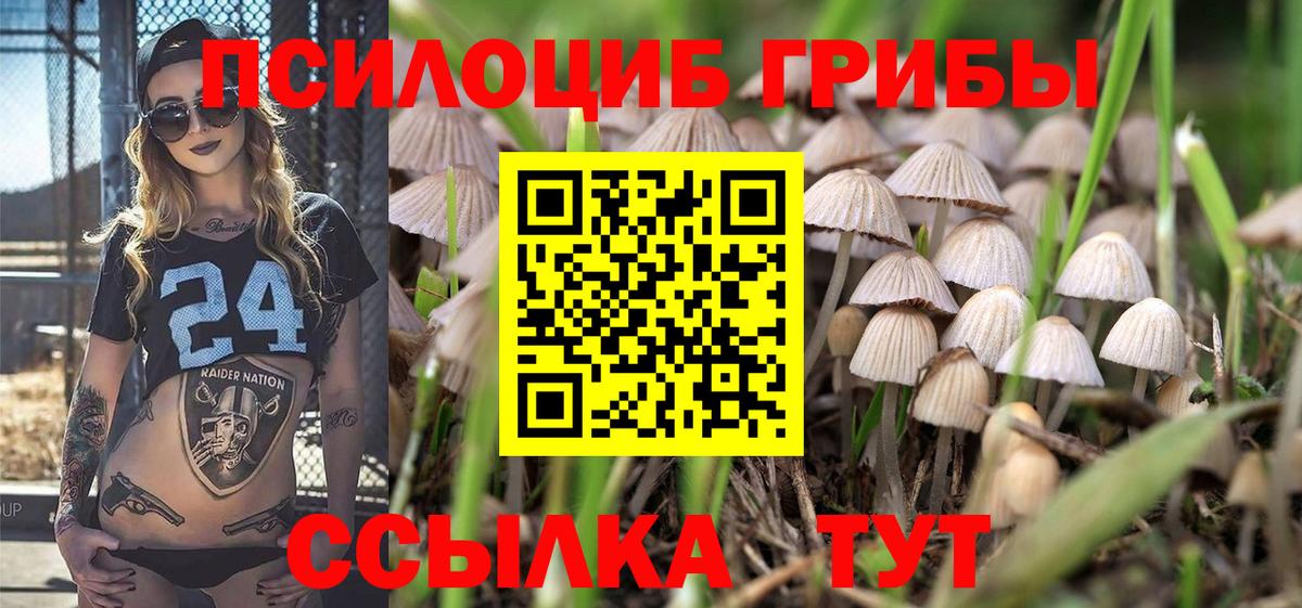 Галлюциногенные грибы Cubensis  Вход с VPN  Советская Гавань 